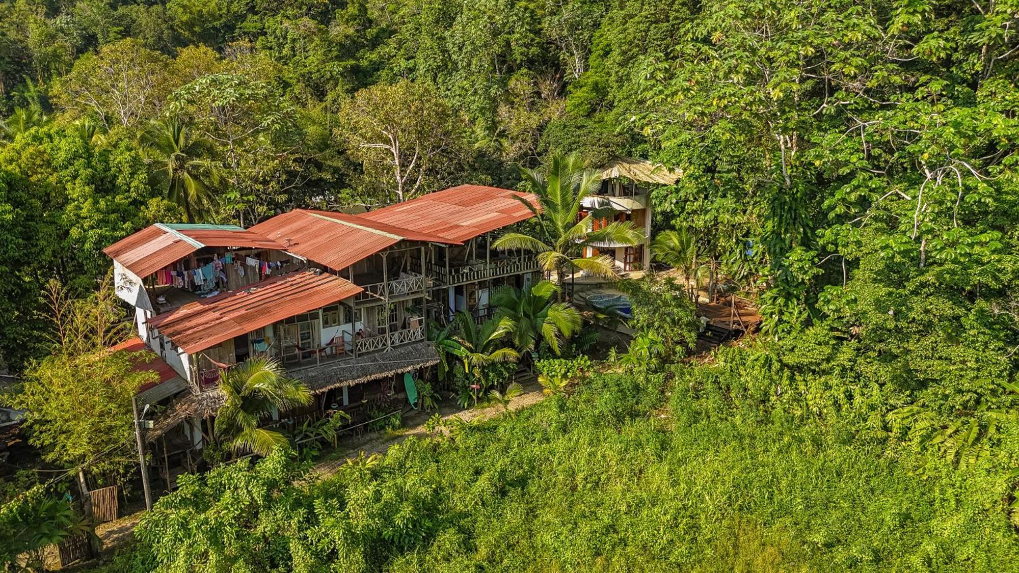 Utria Hostel El Valle  Extérieur photo